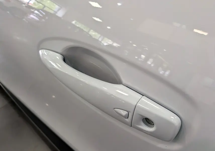 Gros plan sur la poignée de porte côté gauche du Renault Kadjar Blanc Glacier, finition Blue dCi 115 CH BUSINESS EDC.