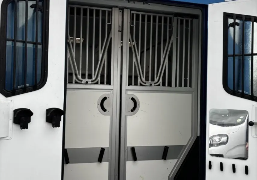 Vue arrière du Renault Master bleu 2020 avec portes ouvertes montrant une cloison intérieure métallique sécurisée.