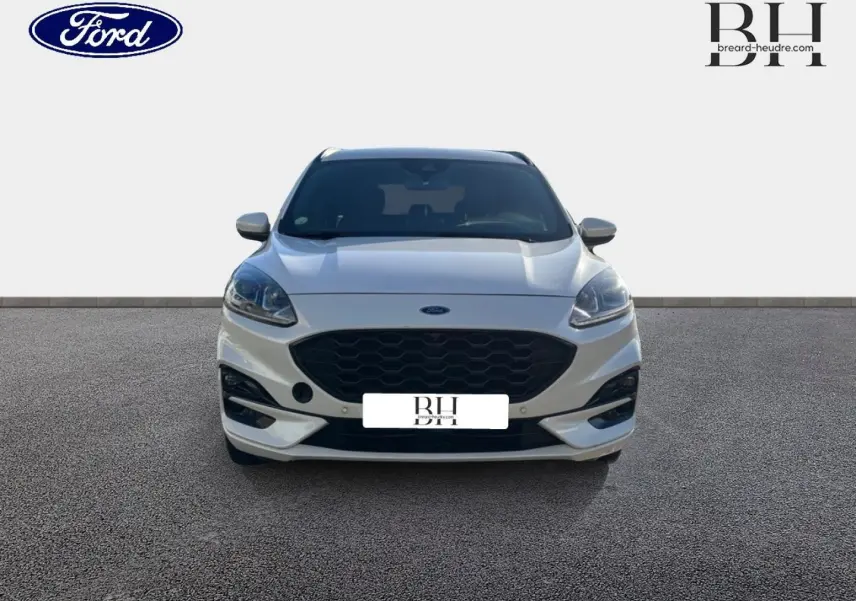 Vue frontale d'un Ford Kuga blanc Premium Platinum avec calandre noire et phares LED distinctifs.