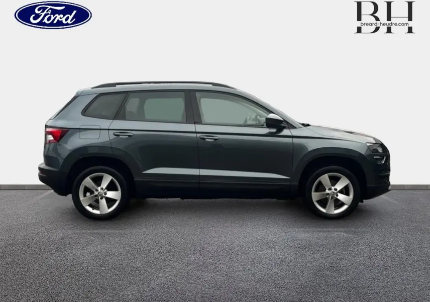 Vue de profil côté gauche d'un Skoda Karoq gris Business avec jantes alliage cinq branches sur fond neutre.