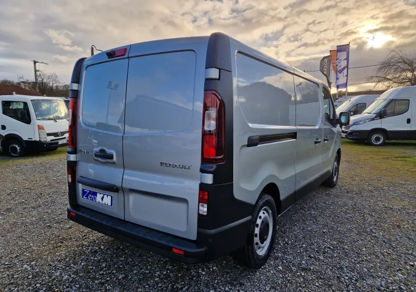 Vue 3/4 arrière droite du Renault Trafic Fourgon gris Highland avec portes arrière fermées sur un terrain extérieur.