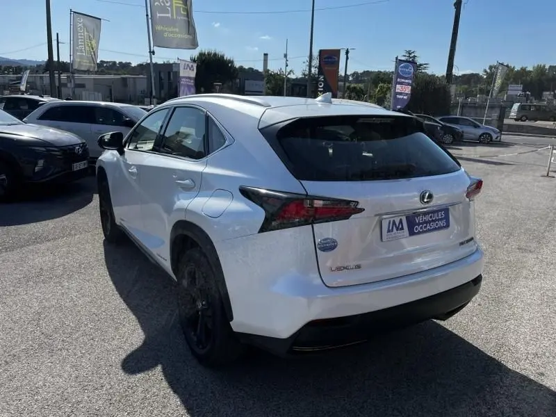 Vue 3/4 arrière droite d'un Lexus NX blanc nacré métal, avec jantes noires et badges hybrides visibles au soleil.