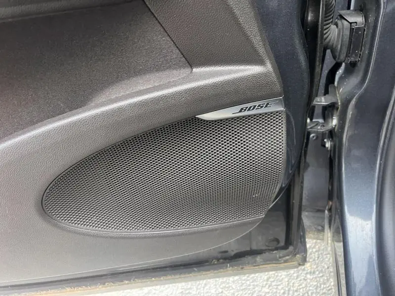 Gros plan sur le haut-parleur Bose intégré à la porte côté droit du Renault Espace Gris Cassiopée 2018.