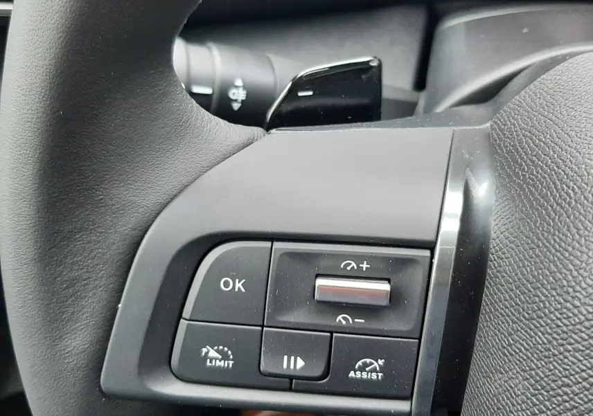 Gros plan sur les commandes au volant côté gauche d'une Citroën C4 blanche, avec boutons de régulateur et assistances.