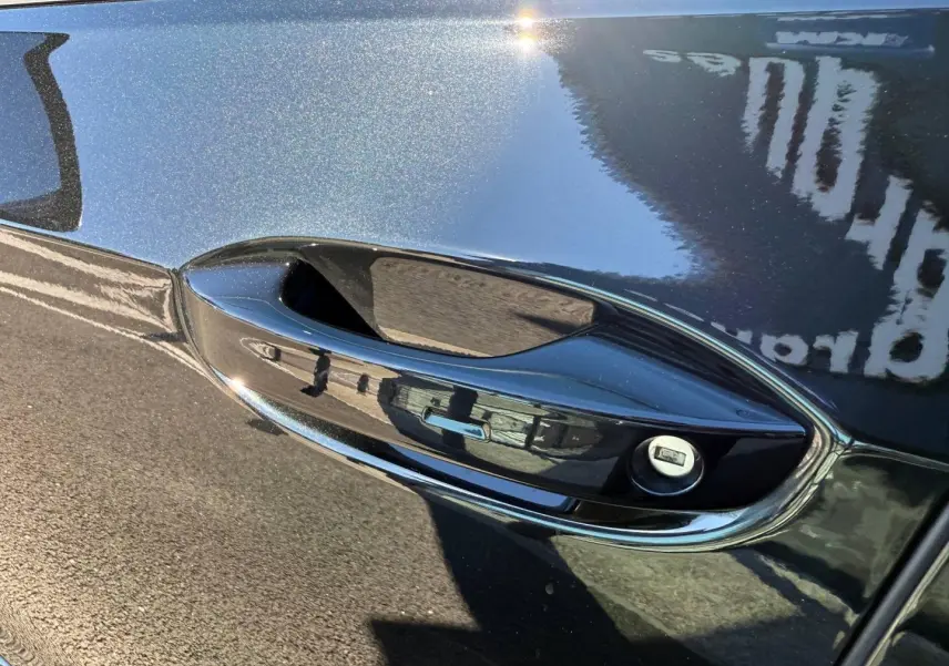 Poignée de porte noire Grenadilla métallisée de Volkswagen Golf 2024 vue en gros plan côté gauche.