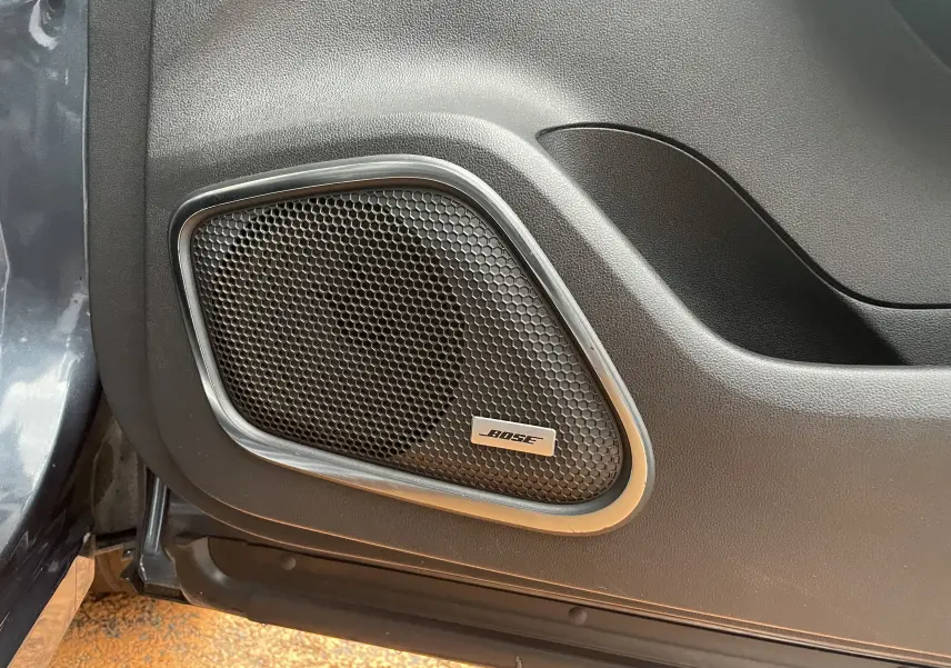 Gros plan sur l'enceinte Bose intégrée à la porte intérieure d'un Renault Kadjar gris titanium de 2018.