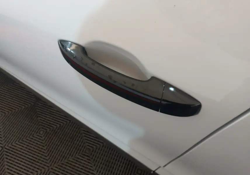 Poignée de porte noire sur la porte avant gauche d'une Renault Clio Business blanche vue en gros plan.