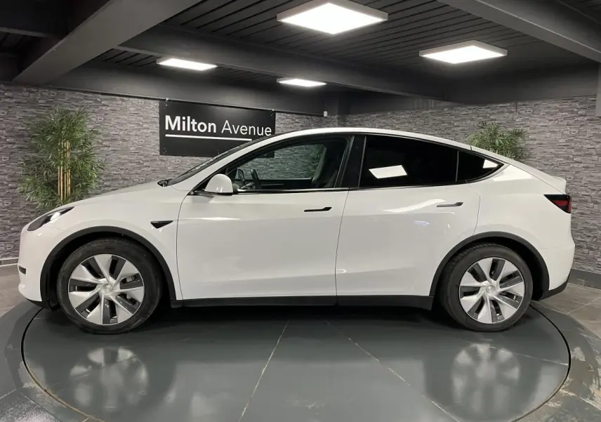 Profil côté gauche d'une Tesla Model Y blanche nacrée RWD 2022 dans un showroom avec mur gris et plantes.
