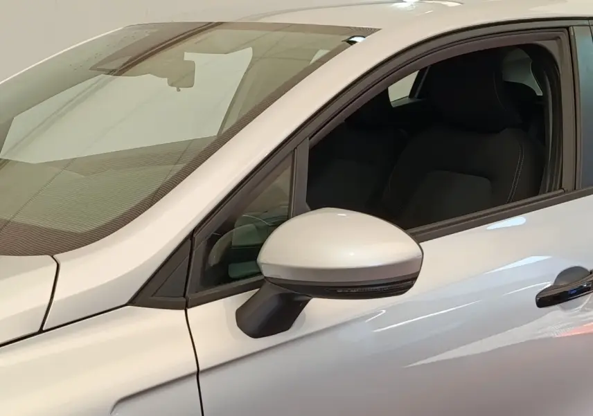 Vue rapprochée côté gauche de la Renault Clio Business gris clair, mettant en valeur le rétroviseur et la portière avant.